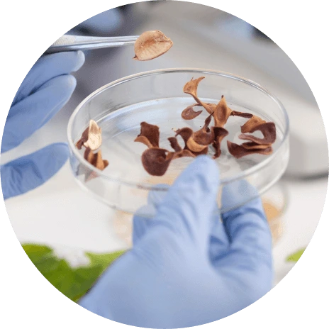 Certified and tested by renowned institutions