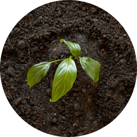 Increases the soil’s water retention capacity